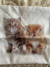 Traumhaft schön katzen gebraucht kaufen  Vöhringen