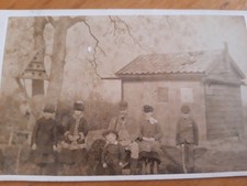 Cdv family dog for sale  TONBRIDGE
