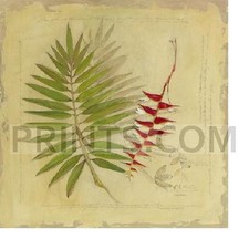 Avery tillmon botanical for sale  Milwaukee