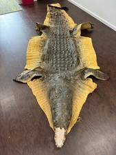Crocodile rug style for sale  Byron