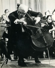 1980 cellist mstislav for sale  STOCKPORT