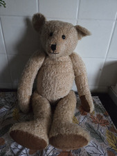 Canterbury bear limited for sale  COVENTRY