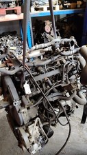 Motore fiat ducato usato  Gavorrano