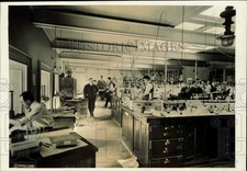 laboratorio fotografico comprar usado laboratorio fotografico comprar usado  Enviando para Brazil