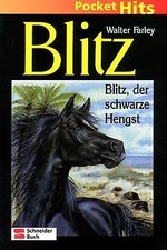 Blitz pocket hits gebraucht kaufen  Berlin