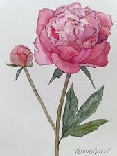 Pivoine peinture aquarelle d'occasion  Montbéliard