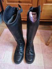 Mountain horse riding for sale  NORWICH