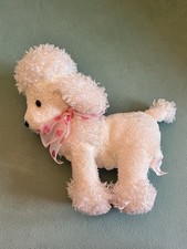 White poodle dog for sale  UK