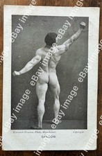Postcard sandow wrestler for sale  ROTHERHAM