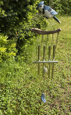 Blue jay bird for sale  Loudon