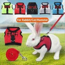 Rabbit leash collar for sale  UK