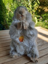 Riginal steiff murmeltier gebraucht kaufen  Ulm