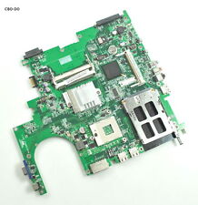 Acer acer aspire usato  Saviore dell'Adamello
