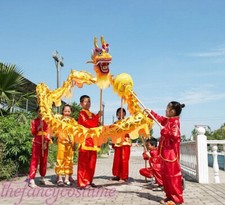 2024 Nuevo Disfraz de Celebración de Danza del Dragón Chino 7.9M 8 Accesorios de Escenario Infantil segunda mano  Embacar hacia Mexico