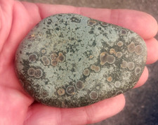 Large variolite 74mm d'occasion  Expédié en Belgium