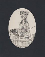 Airedale terrier bed for sale  Tampa