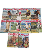 Cavallo 2015 jahrgang gebraucht kaufen  Springe