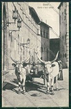 Siena Città Costumi Carro Buoi cartolina QQ1753 comprar usado  Enviando para Brazil