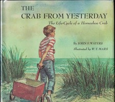 The crab from usato  Imola