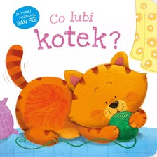 Książka Co lubi kotek?  na sprzedaż  PL