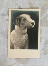 Carte postale ancienne d'occasion  Redon