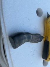 Rex fossil long for sale  Clearfield