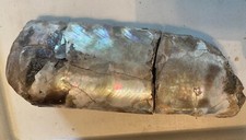 baculite for sale baculite for sale Ocala