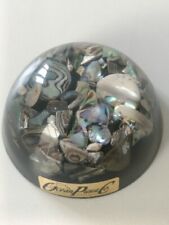 Paua shell paperweight for sale  HULL