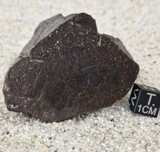 Meteorite nwa 17421 d'occasion  Pernes-les-Fontaines