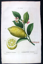 1799 set bessa usato  Urbino