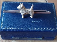 cairn terrier for sale  WOOLER