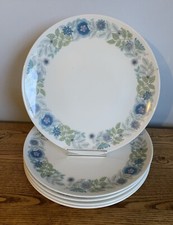 Wedgwood clementine salad for sale  NOTTINGHAM