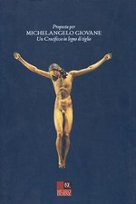 Proposta per michelangelo usato  Italia