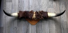 Mounted steer bull for sale  West Bend