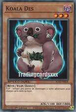 Koala sgx2 fre01 d'occasion  France