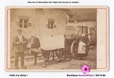 Attelage paysan charrette d'occasion  Chaumont