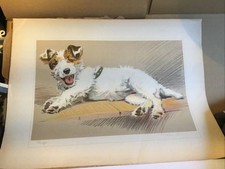 Print jack russell for sale  ST. LEONARDS-ON-SEA