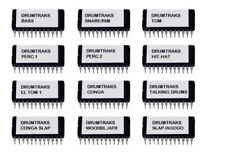 sequential circuits prophet usato  Italia