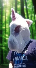 Unicorn costume head for sale  PLYMOUTH