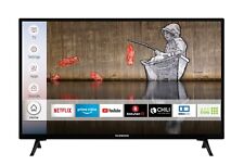 Techwood h32t60f zoll gebraucht kaufen  Birkenfeld