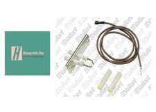 Vaillant doppelzündelektrode  gebraucht kaufen  Remscheid