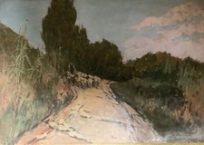 Giovanni lomi livorno usato  Genova