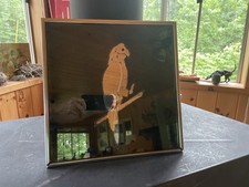 Vtg parrot bird for sale  USA