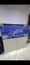 300l full fish for sale  CANNOCK