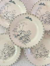 Assiettes plates terre d'occasion  Nogent-sur-Marne