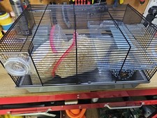 Hamster cage tiers for sale  BOLTON