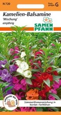 Kamelien balsamine blumen gebraucht kaufen  Miltenberg