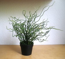 Ikea pflanze künstlich gebraucht kaufen  Wenden
