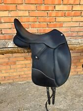 stubben dressage usato  Messina