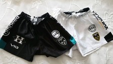 Pairs dragons rfc for sale  CHESTERFIELD
